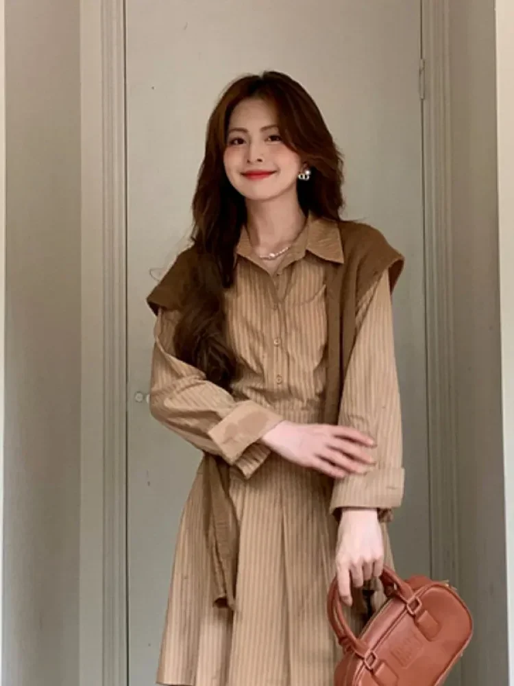 [NEW]CHICMORE Korean style women's casual fashion slim waist long-sleeved long striped dress