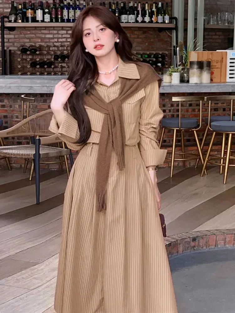 [NEW]CHICMORE Korean style women's casual fashion slim waist long-sleeved long striped dress